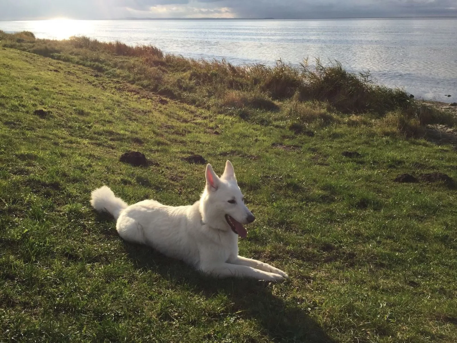 Komfortable Ferienwohnung in Waase-Binnen