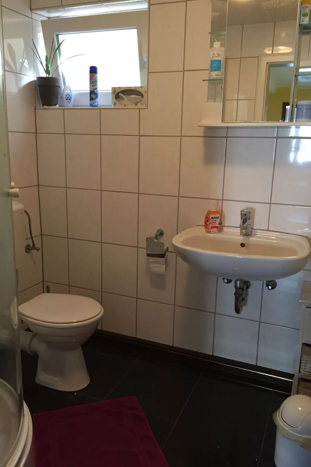 Gemüliche Ferienwohnung Schmandin-Binnen