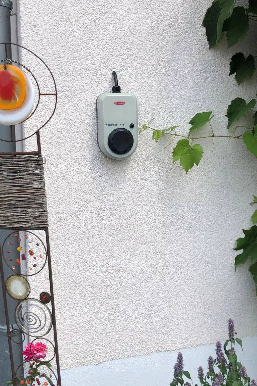 Zillendorf-Image-tags.info