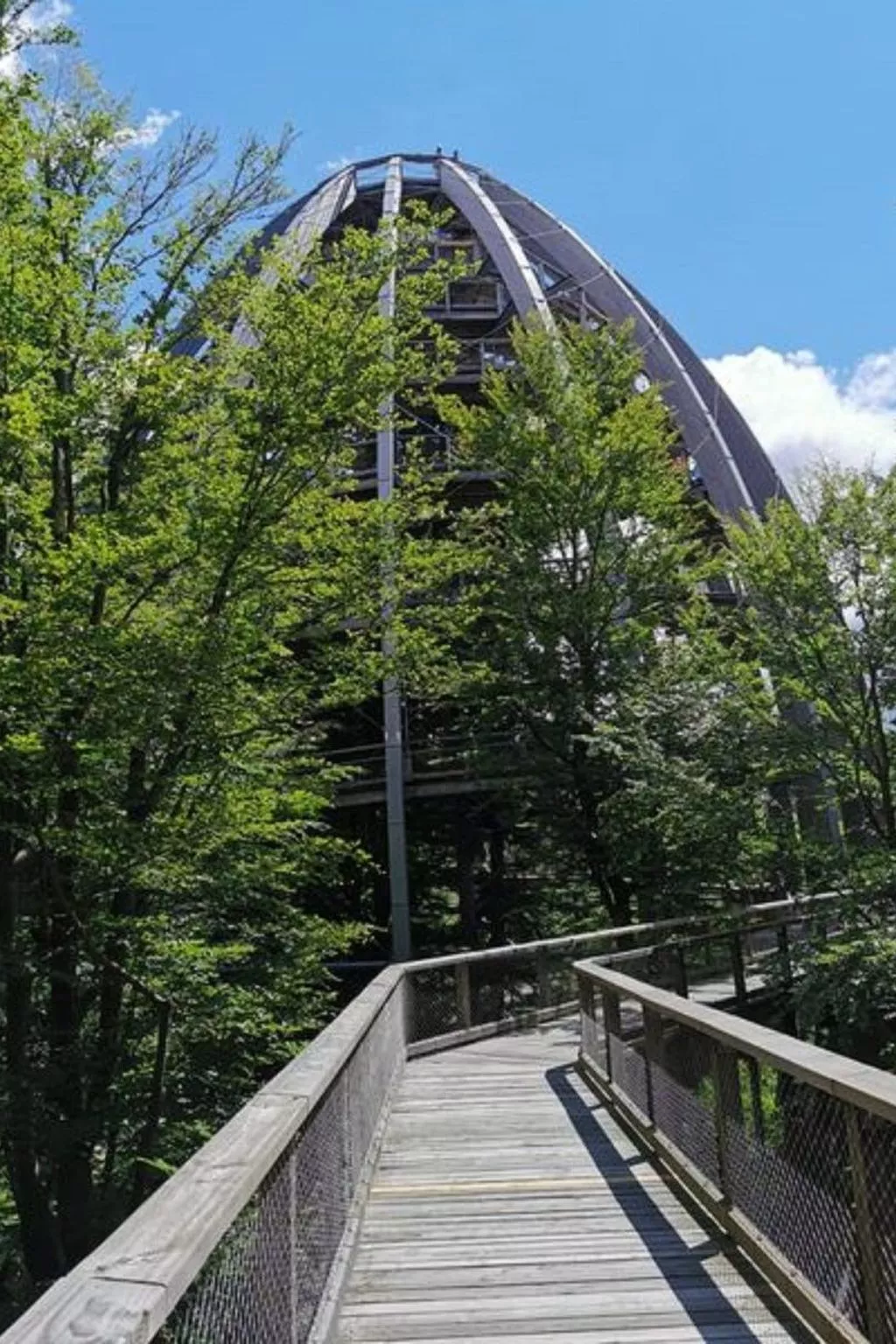 Wohnung mit möblierter Terrasse und Waldblick-Binnen