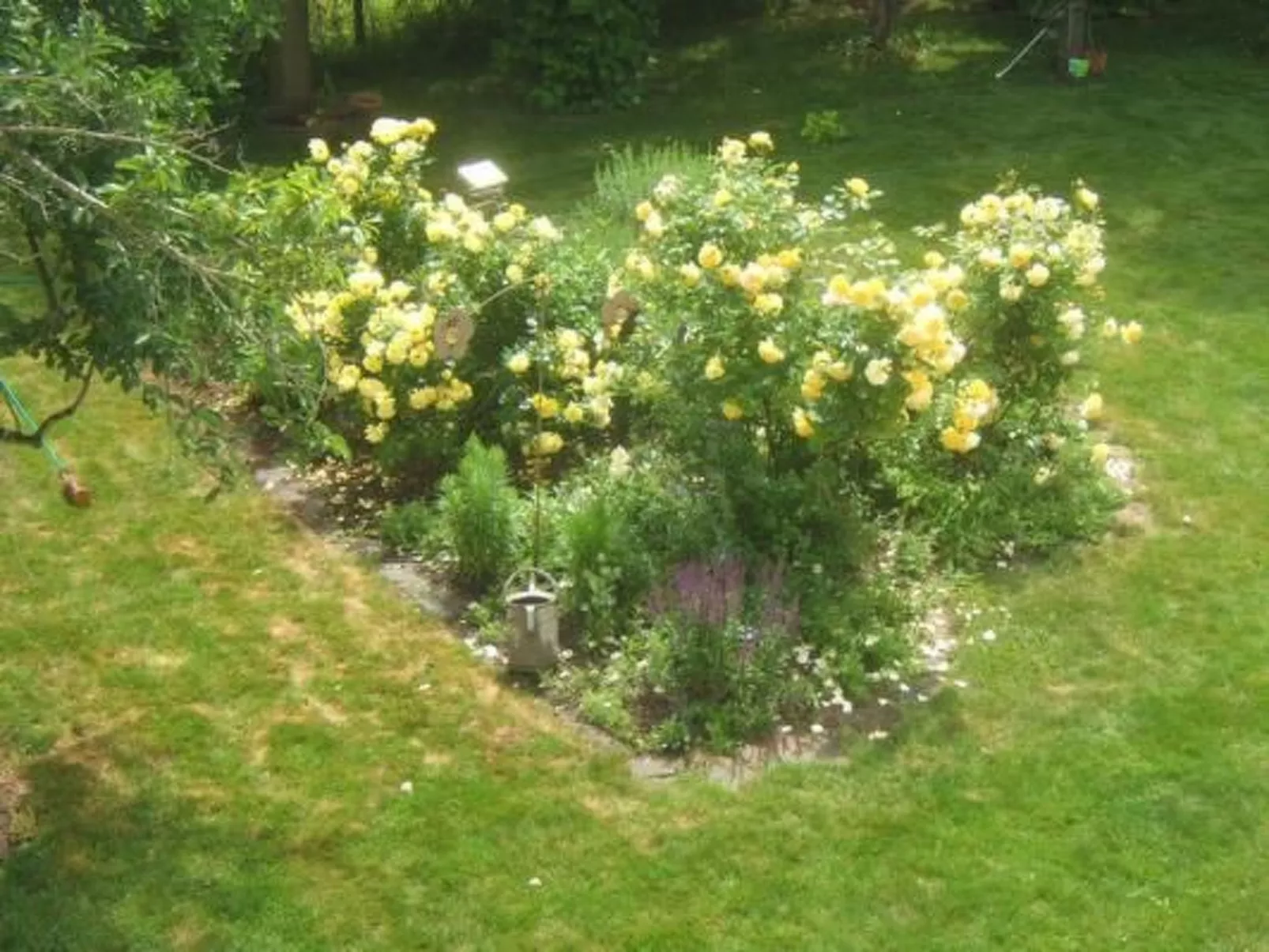 Am Wiesengrund in Venningen-Binnen