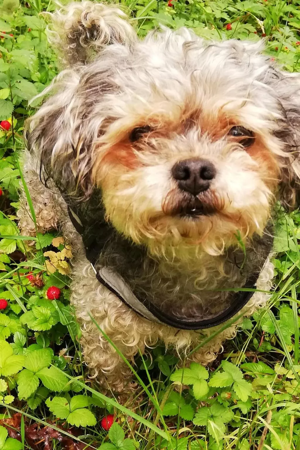 Ferienhaus-Image-tags.info