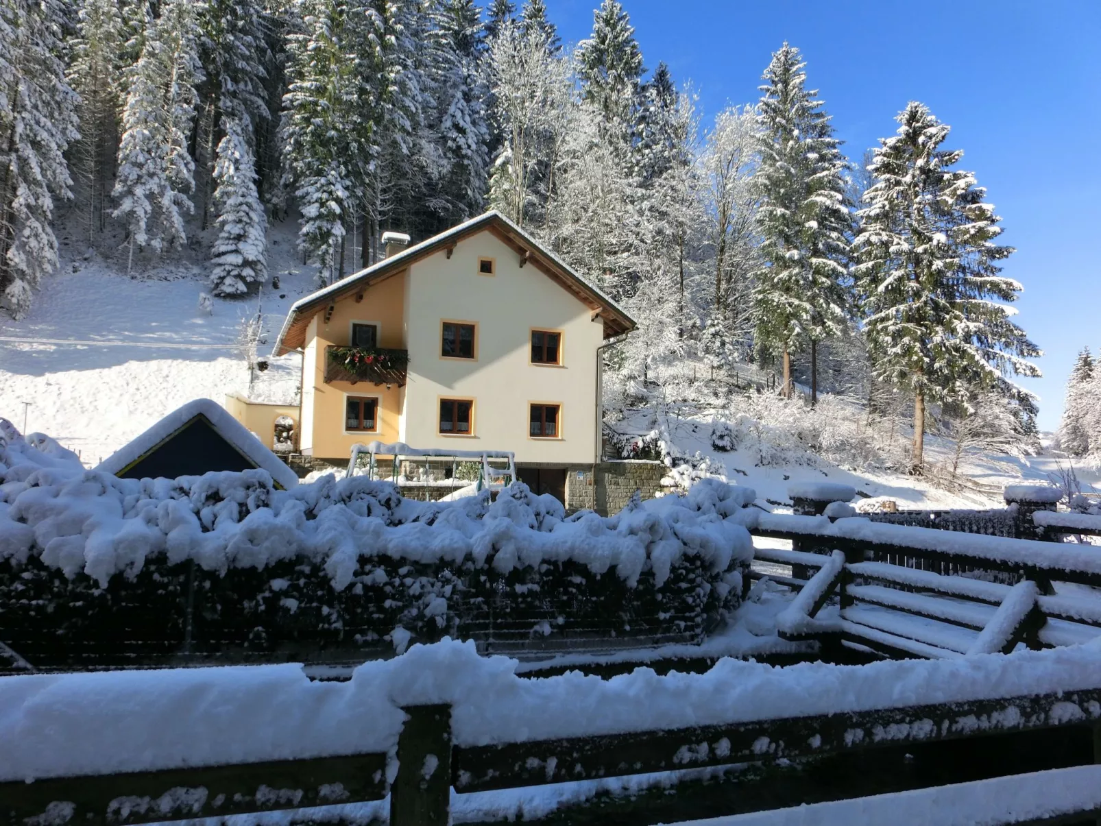 Eulenrast in Loich-Binnen
