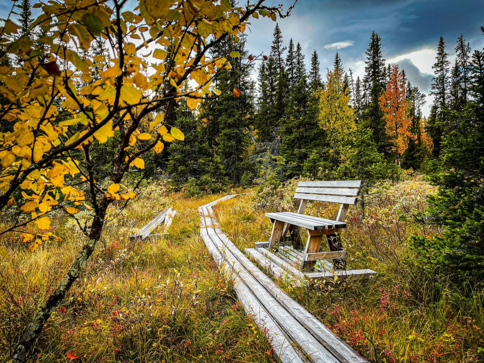 Gemütliches Blockhaus mit Kamin im Oviksfjäll-Buiten