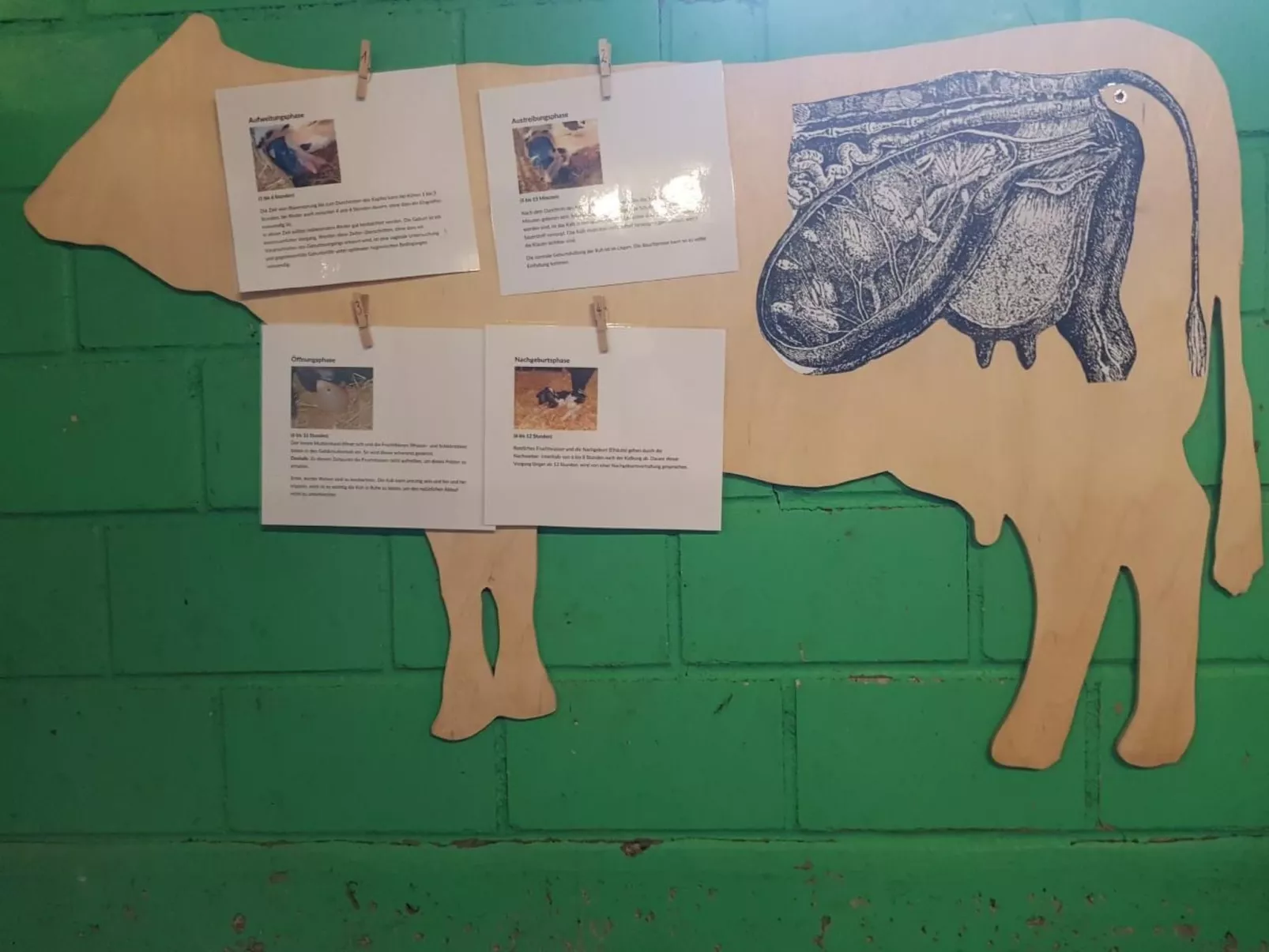 Ferien im Gugger - Wohnung Stockberg-Buiten