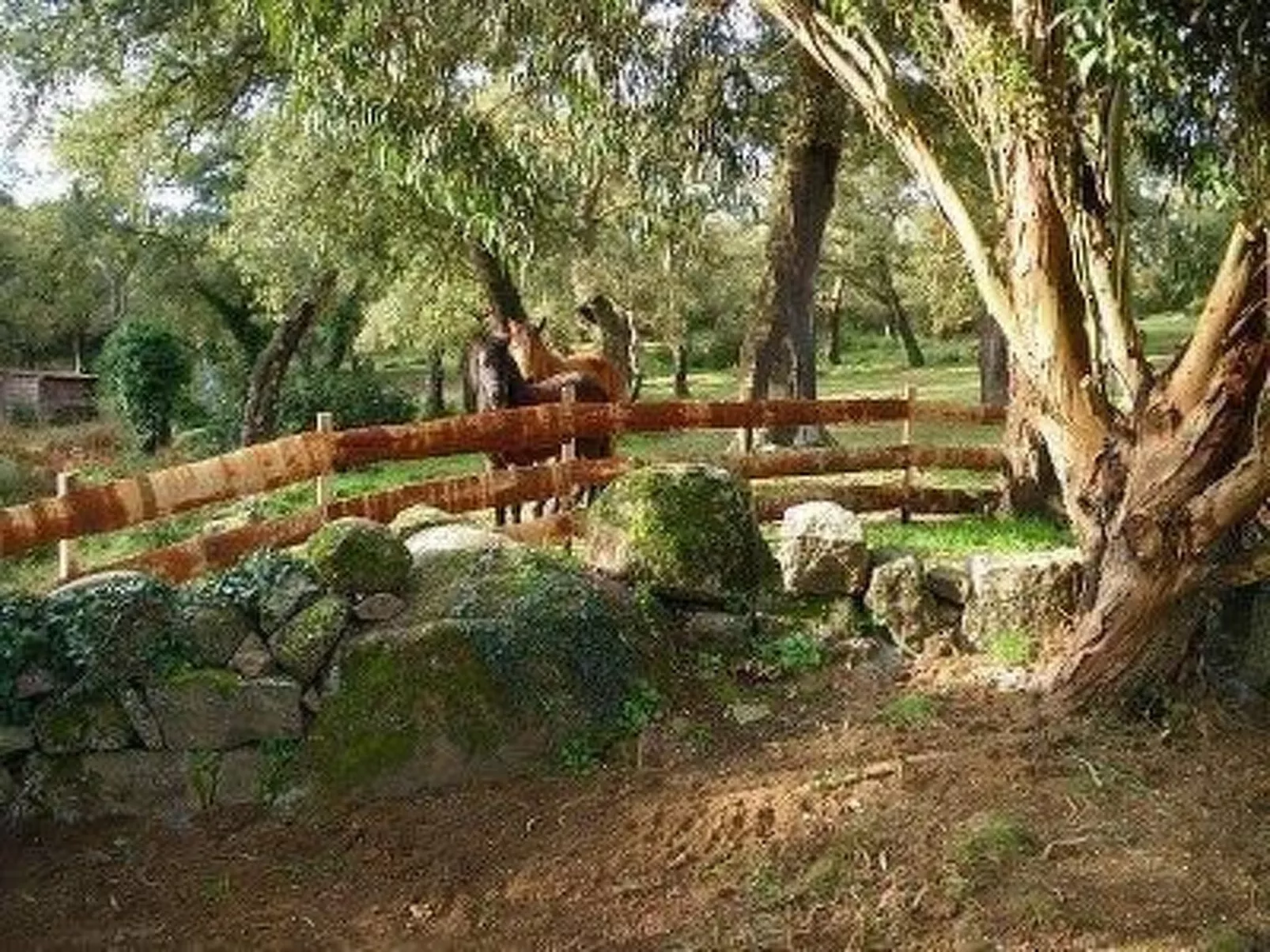 In Sartène mit Eigener Terrasse-Binnen