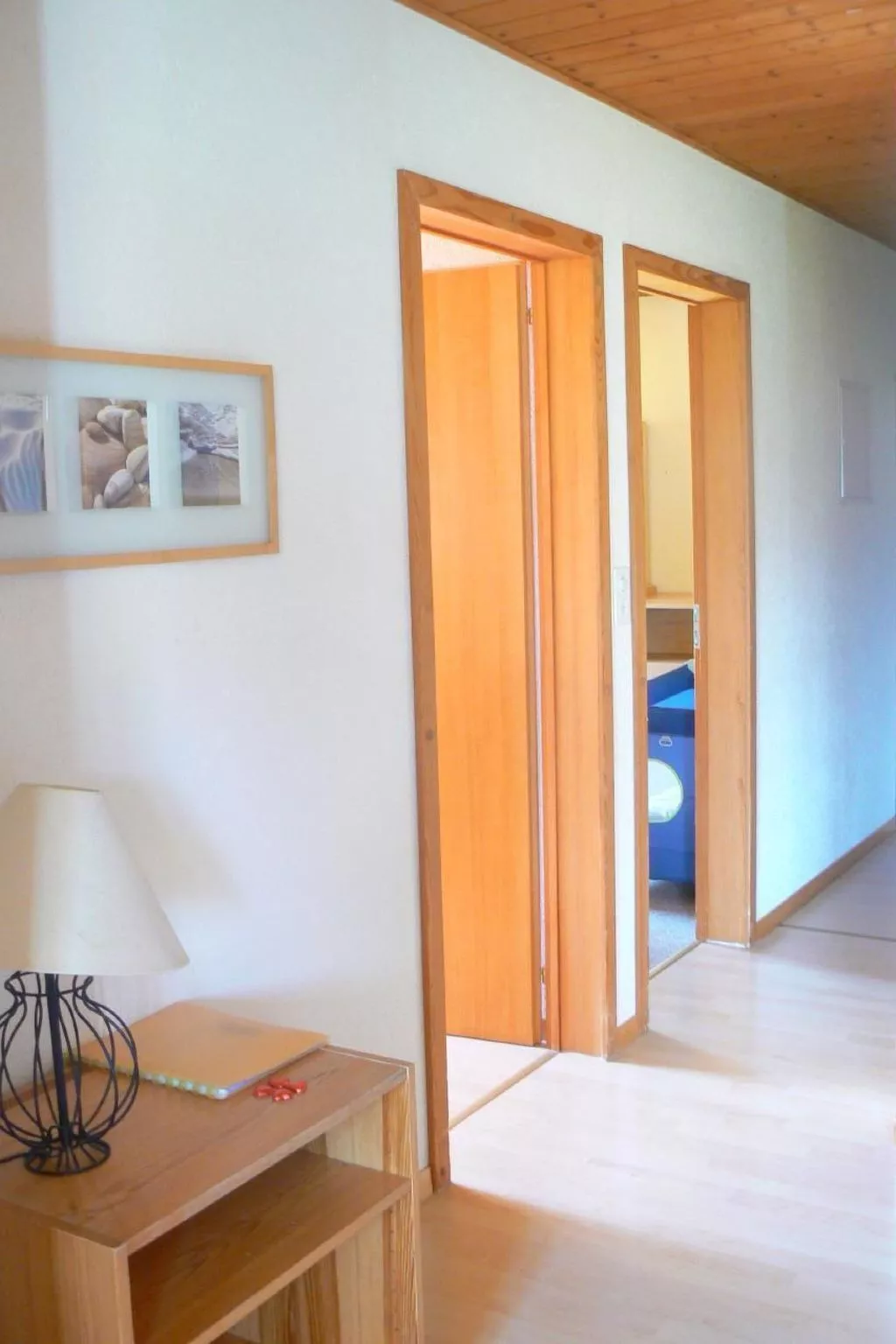 Schafmatthof Dachwohnung-Binnen