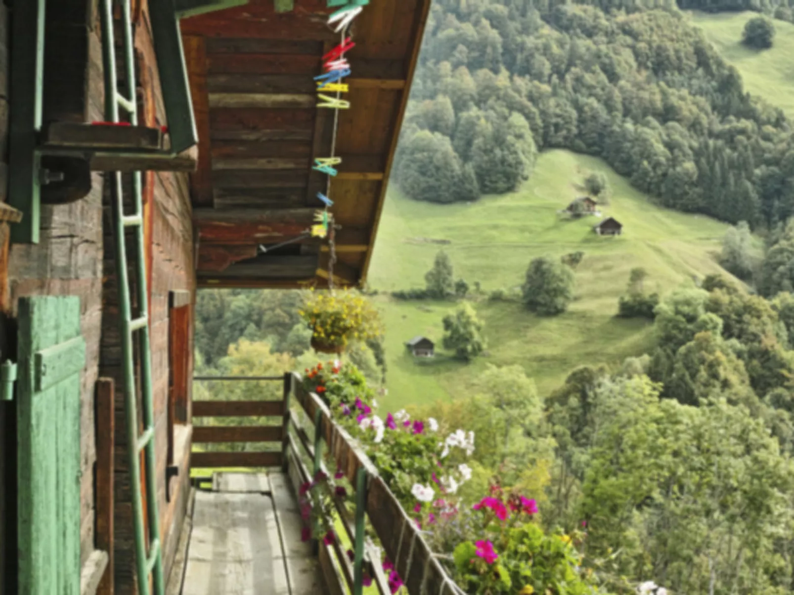 Berghof-Gufel-Image-tags.info