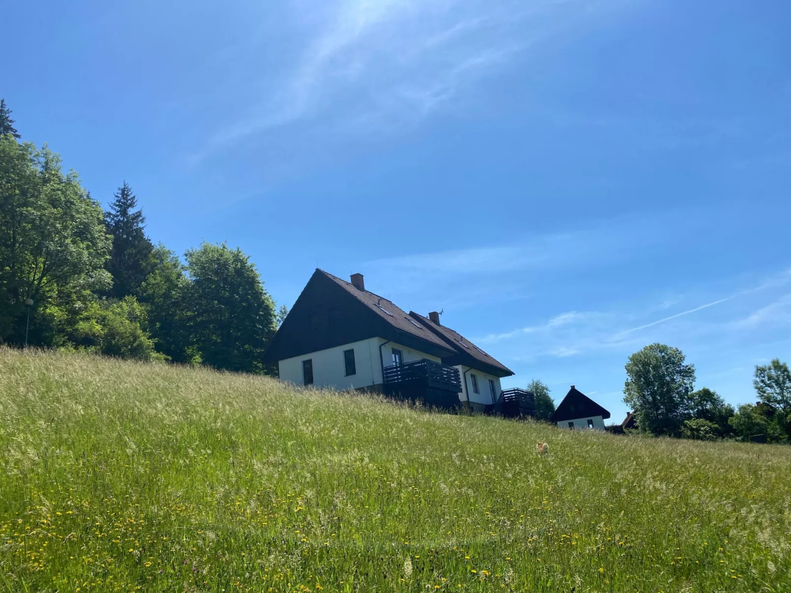 In  Green Valley Park 4-Binnen