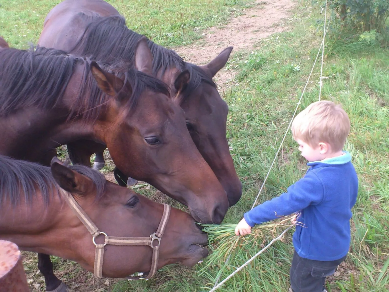 Bürkner-Image-tags.info