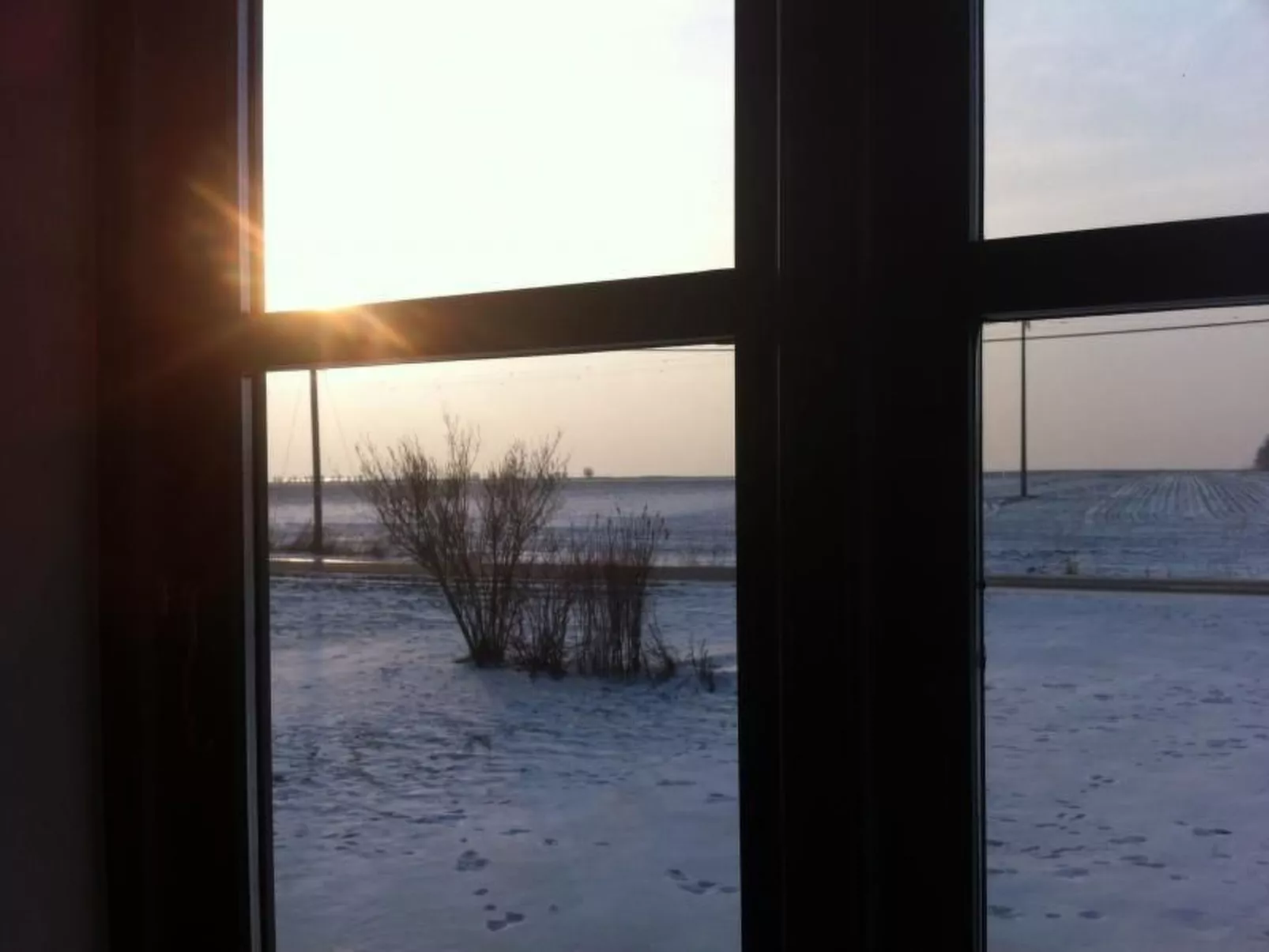 Möwe in Ummanz-Lüßvitz-Binnen