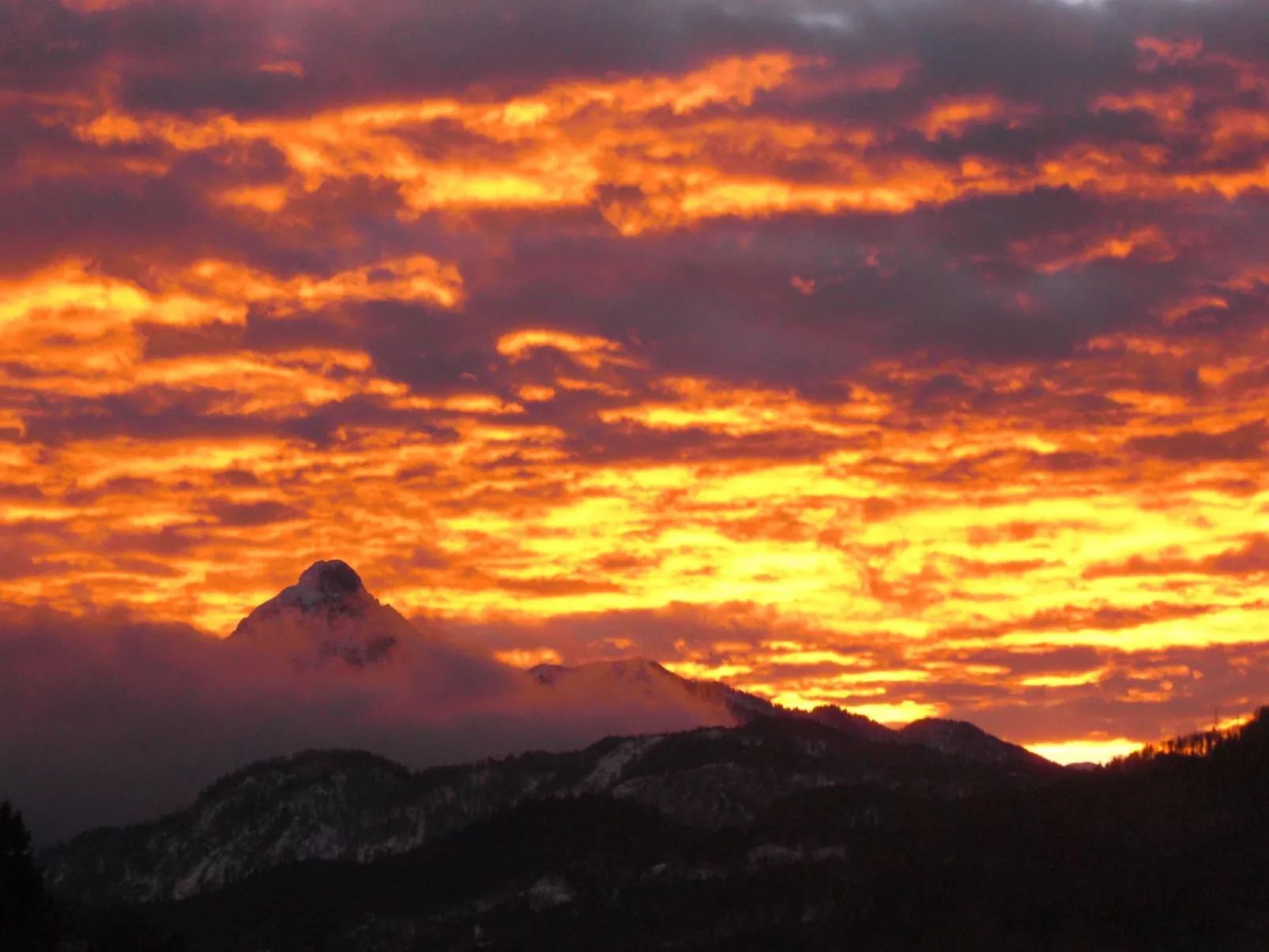 Am Rosengarten-Binnen