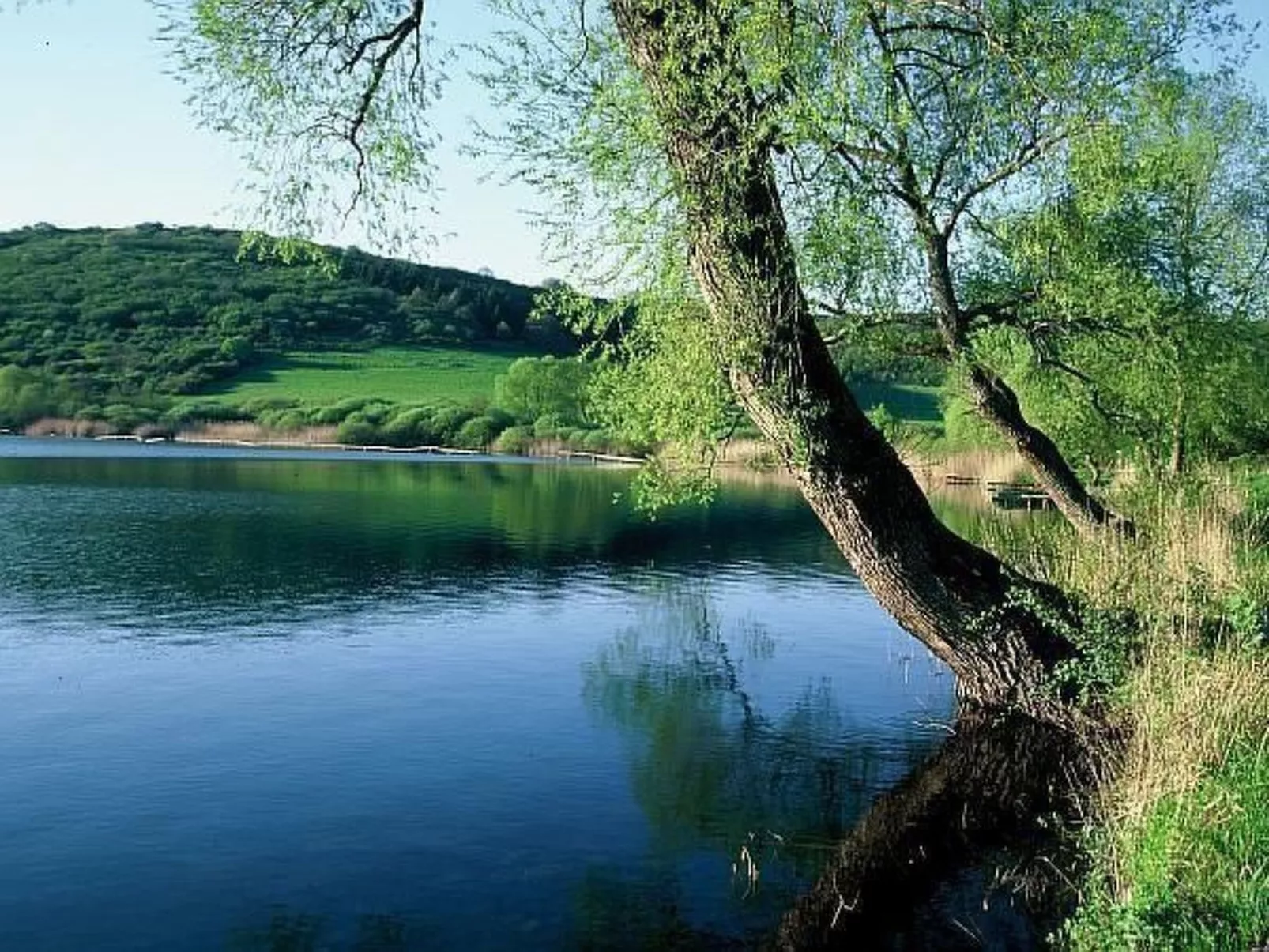 Elegante Ferienwohnung in Schalkenmehren-Binnen
