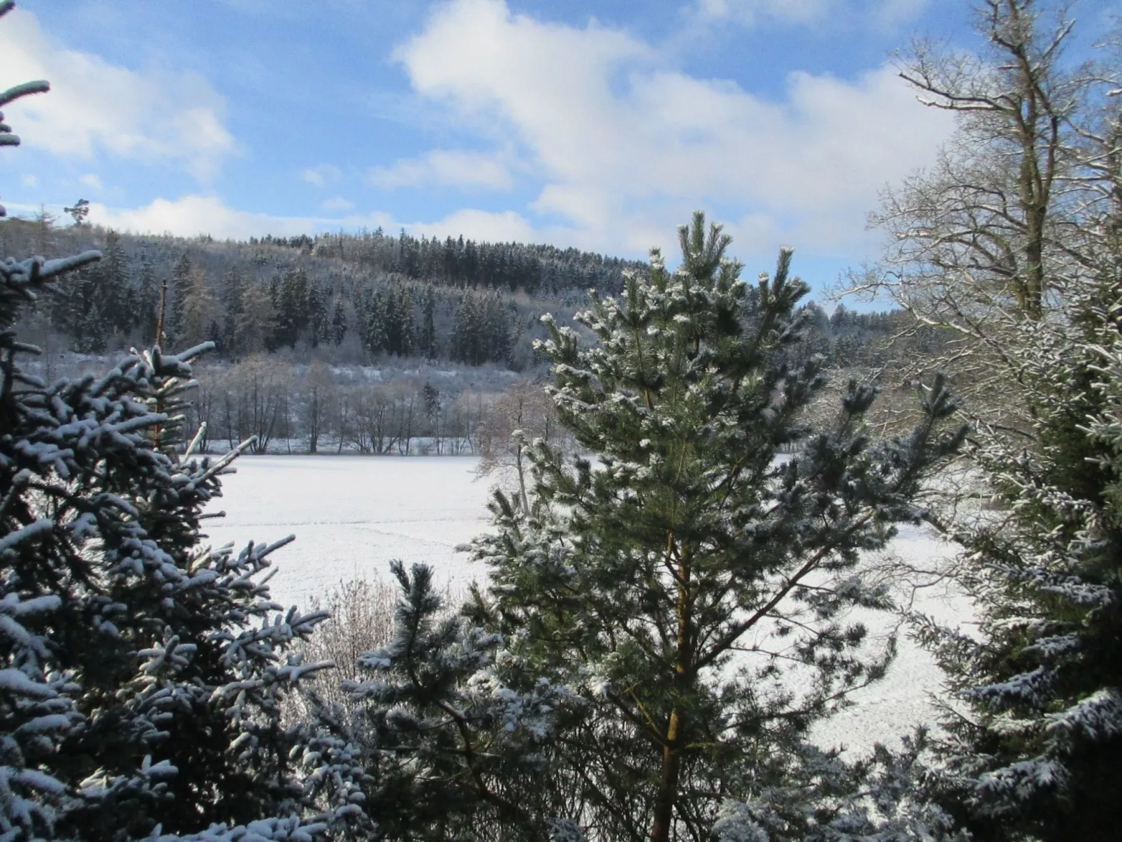 Grosse, hundfreundliche Ferienwohnung in der Nähe des Flusses-Buiten