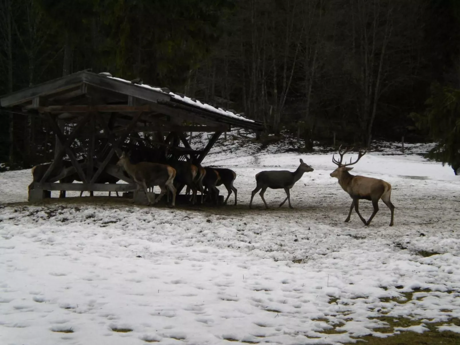 Marinas Alpenblick-Buiten