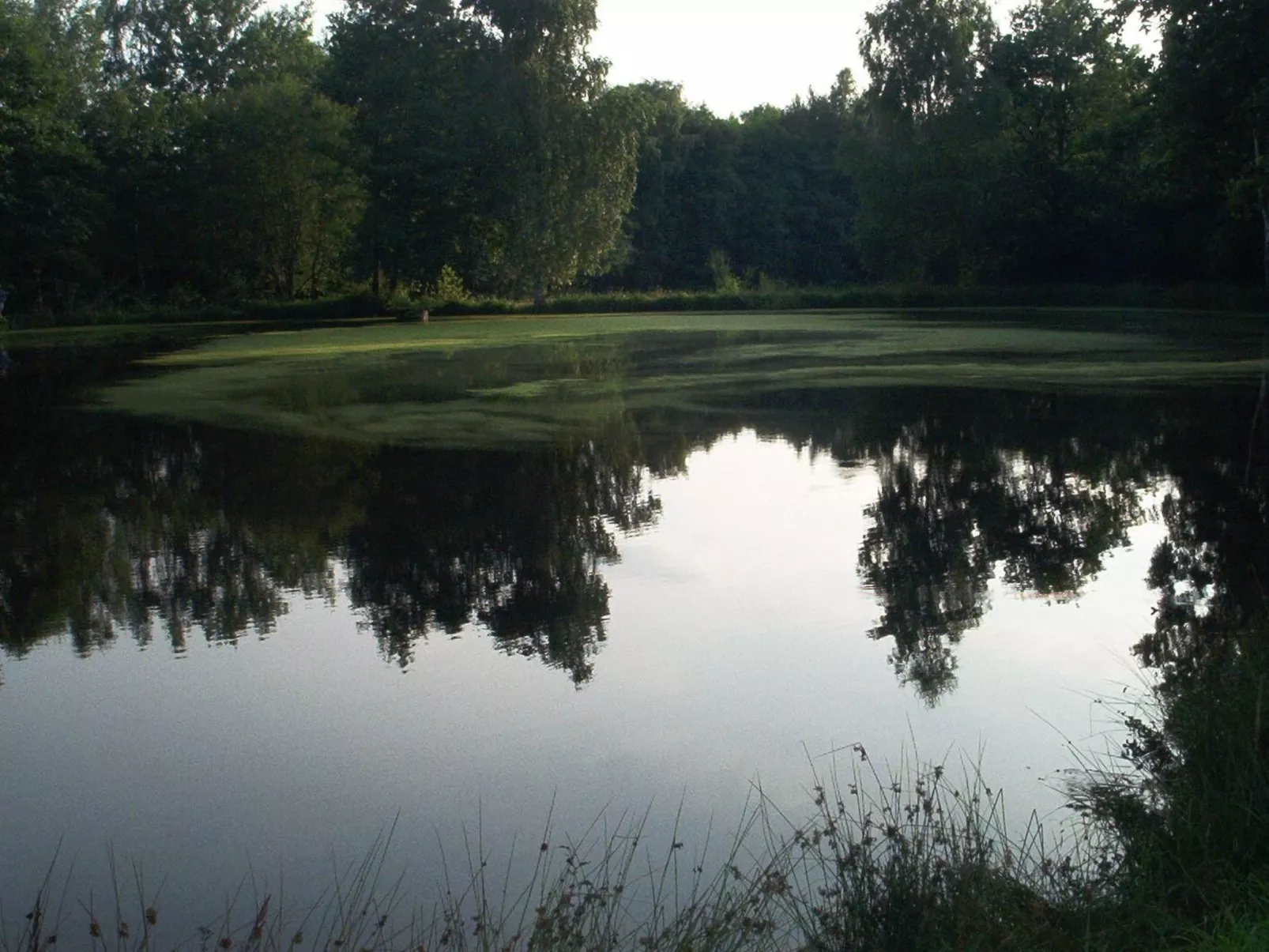 Fewo Stricker 22-Image-tags.info