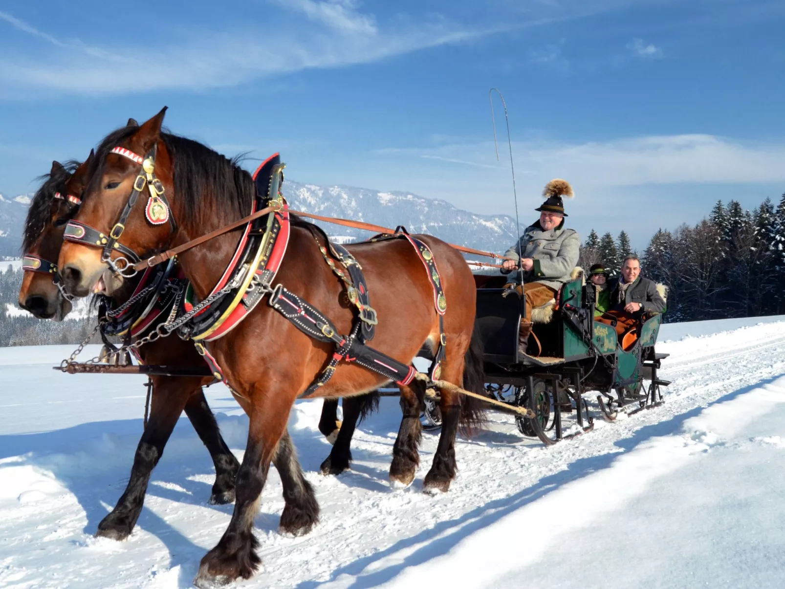 Appartement Bergkristall mit Gebirgsblick-Buiten