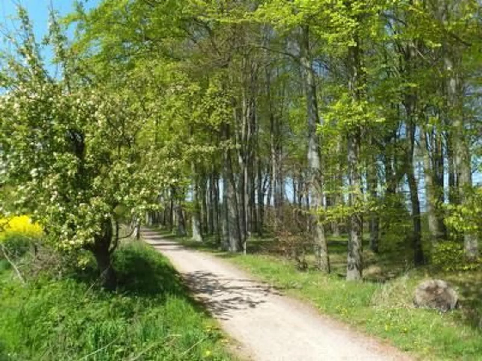 Ferienwohnung-Binnen