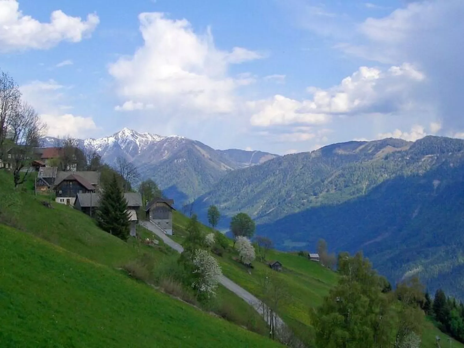 Waldblick in Steinfeld-Binnen