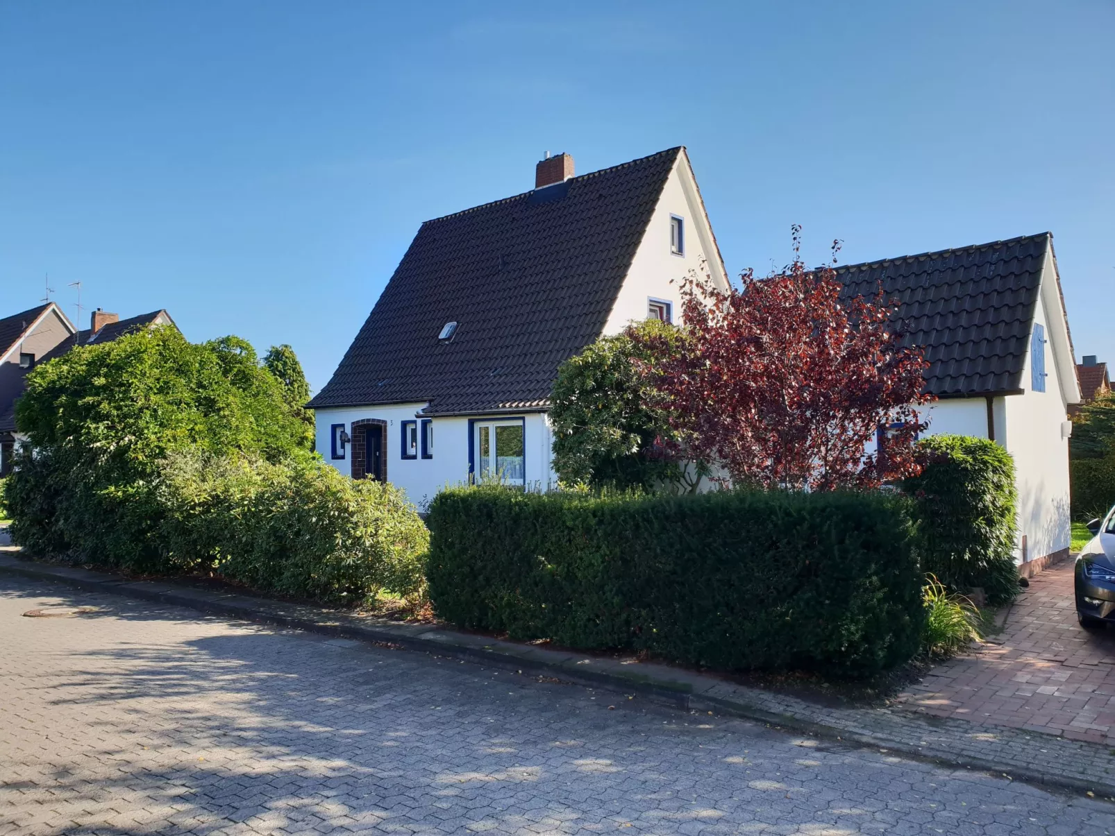 Erholung pur: Nordsee-Urlaub mit Hund-Binnen