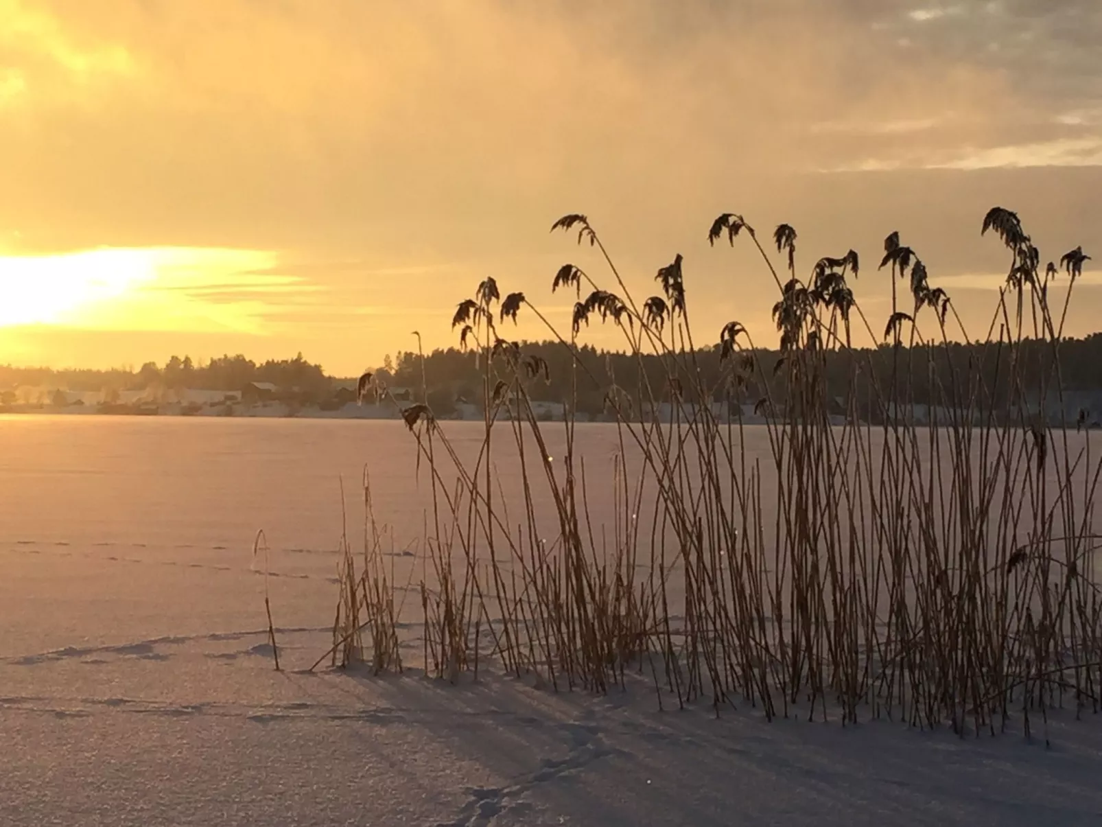 Nachhaltig und gefühlvoll in Seenähe-Binnen