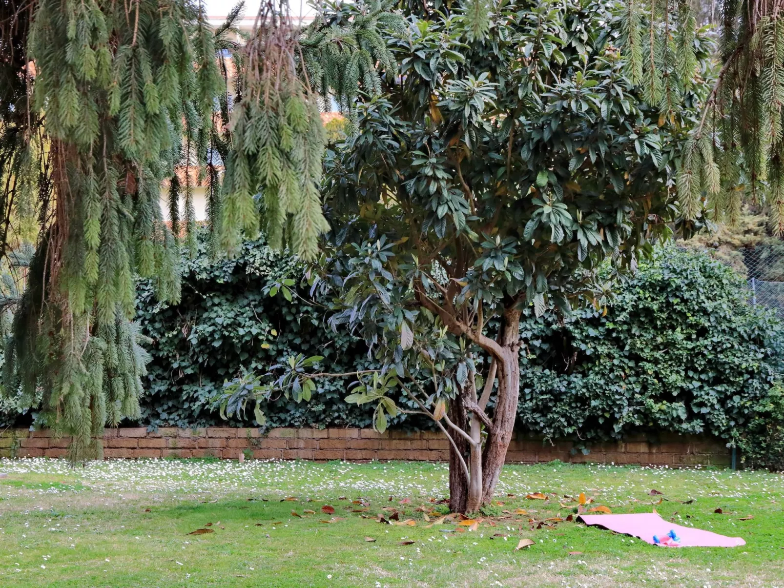 Rome Aurelia Terrace close to St Peter's Square Free Parking and Pool-Buiten