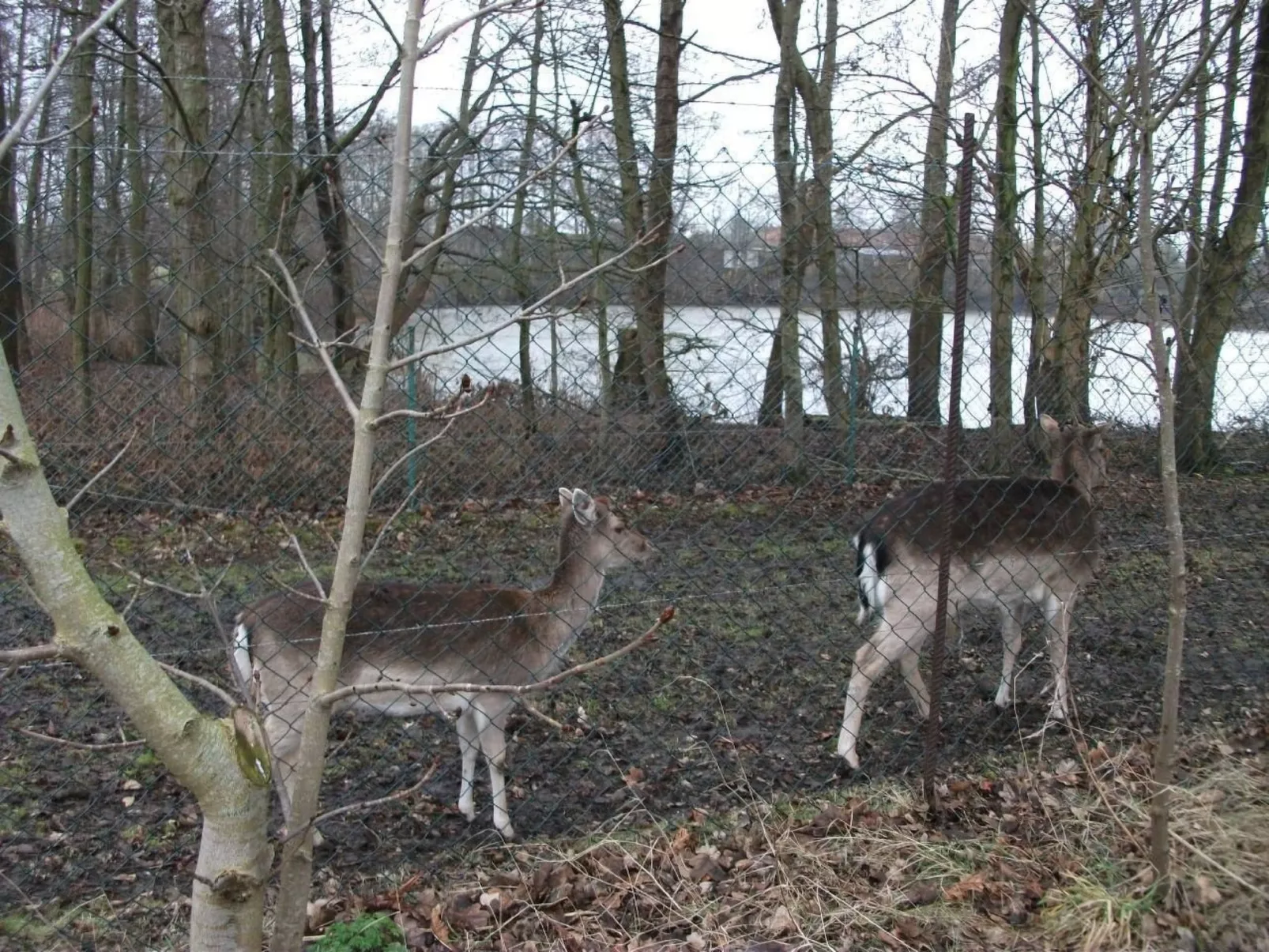 Haus am Kiessee - Mediterranes Flair mit Seeblick-Image-tags.info