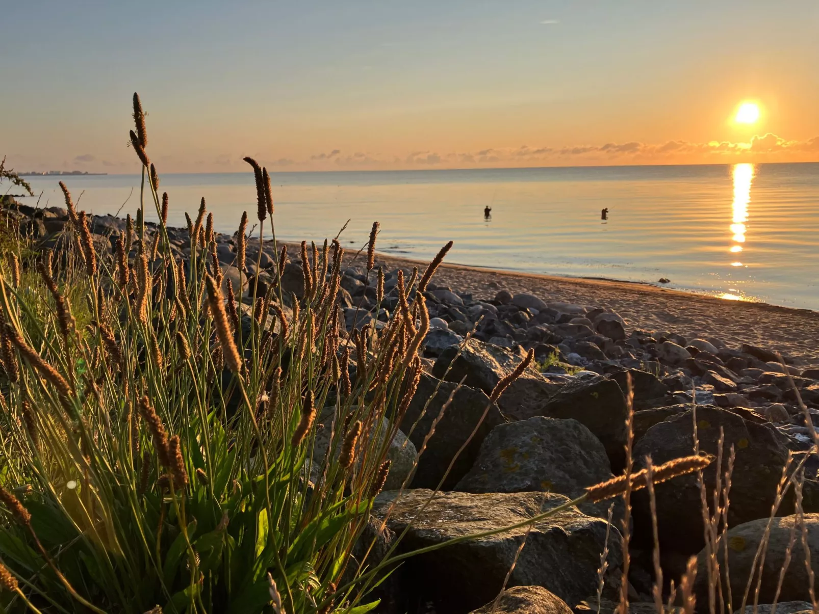 Wohnung Haus mit Herz in Brodersby-Schönhagen-Buiten