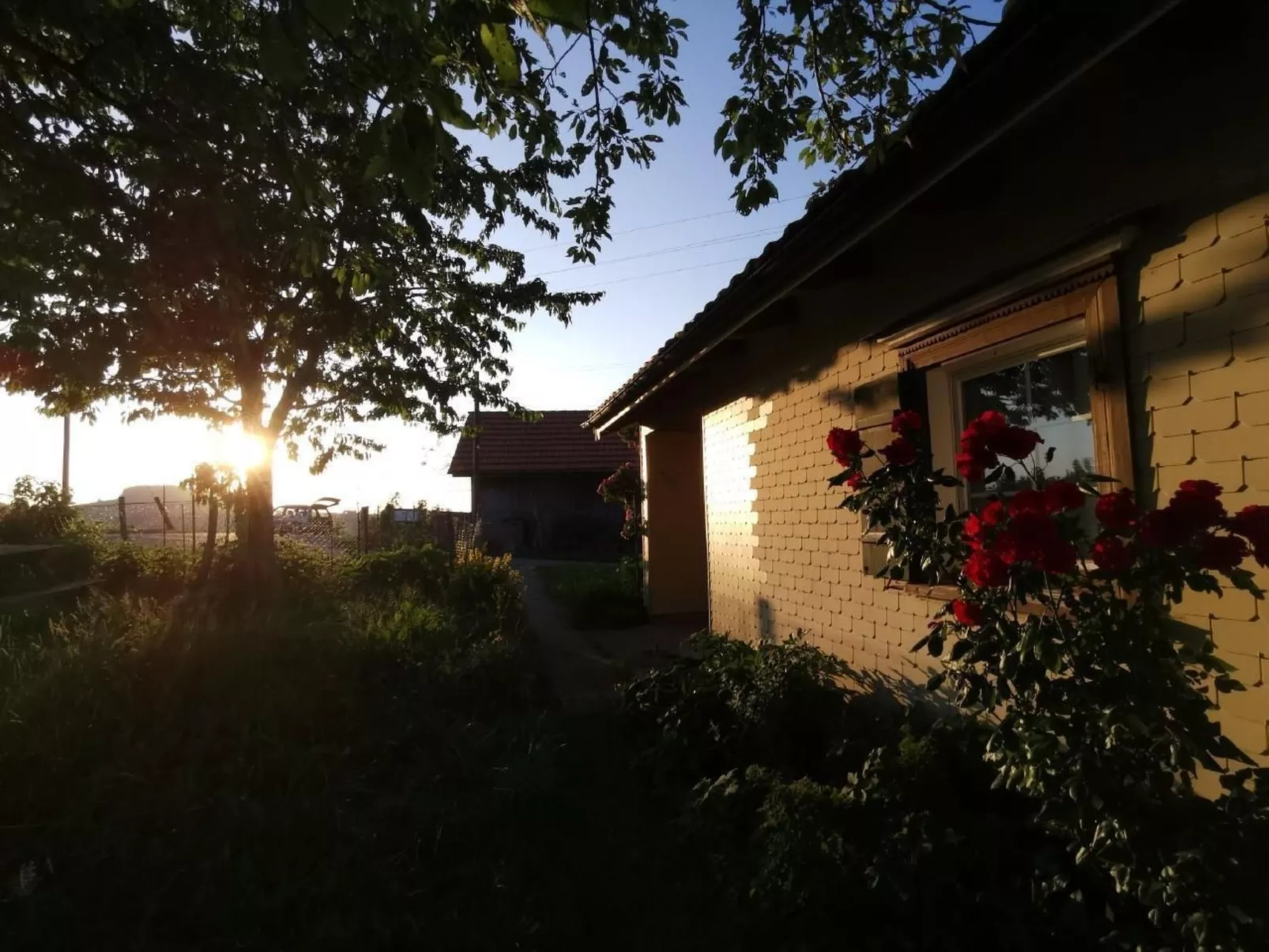 Tiererlebnishof Windegg-Binnen