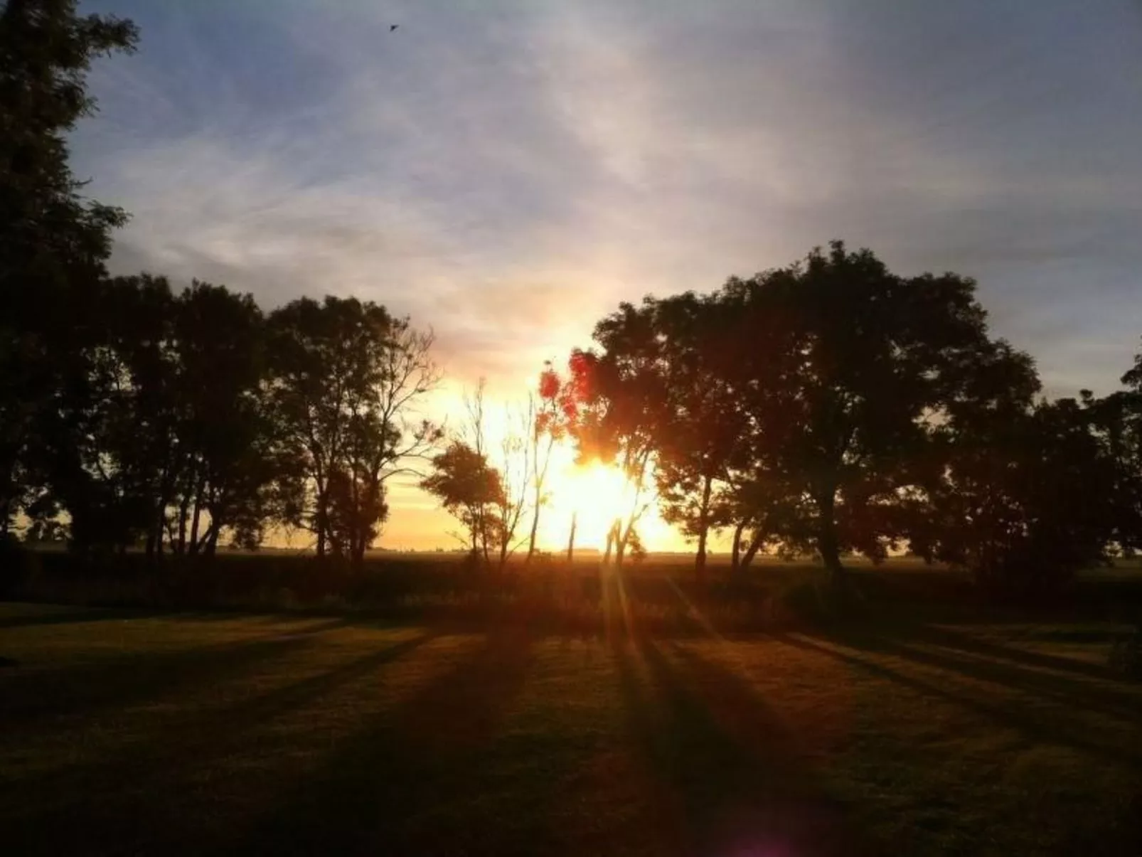 Kranich in Ummanz-Lüßvitz-Binnen