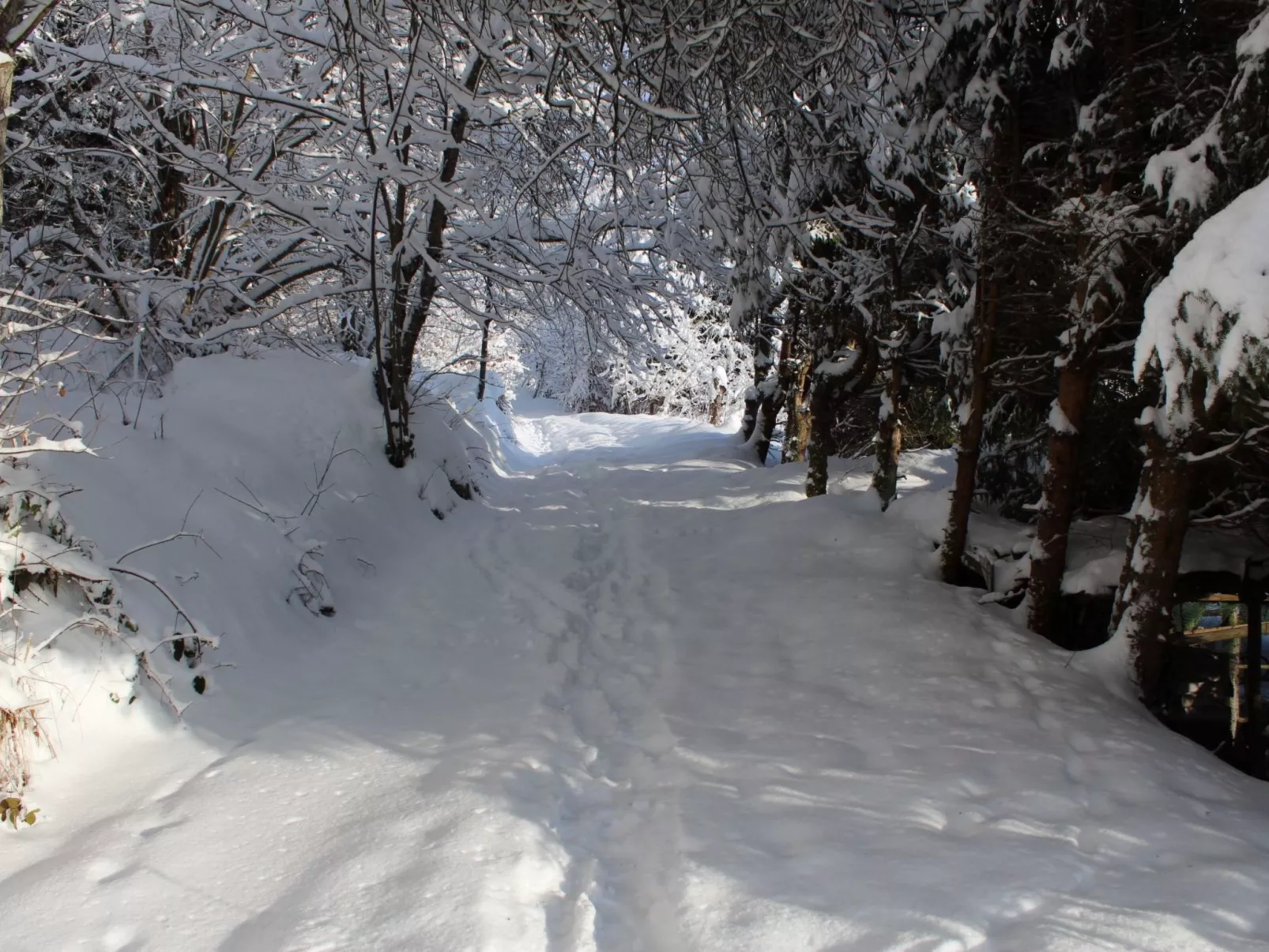 Haus Maria Hochschwarzwald, Garten umzäunt, Waldrand, Hunde willkommen-Binnen