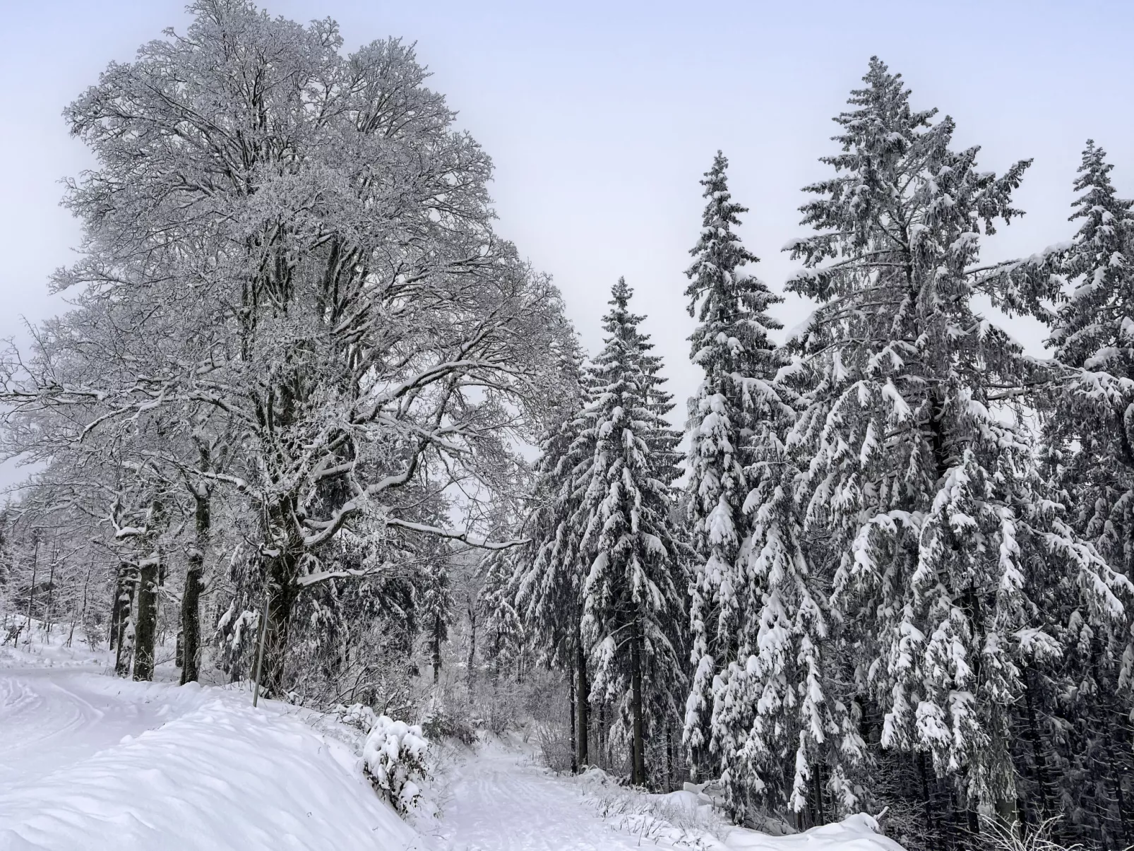 Gemütliche Ferienwohnung im Thüringer Wald-Omgeving