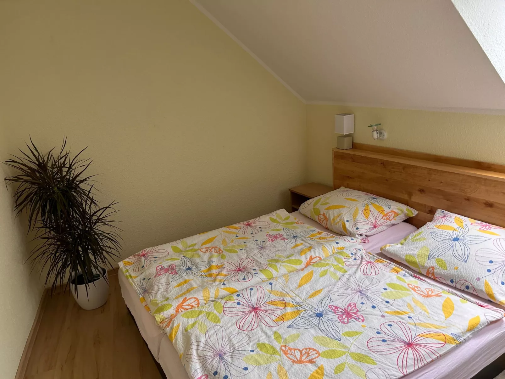 Am Schwielochsee-Binnen