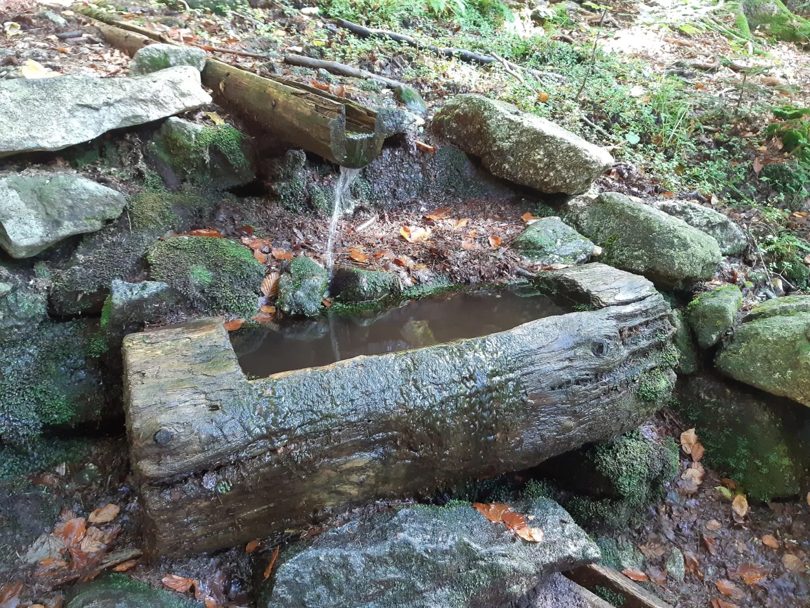 AnNo Wohlfühlplatzl-Binnen