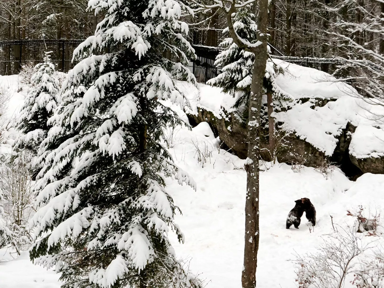 In Waldkirchen mit Garten und Seeblick-Binnen