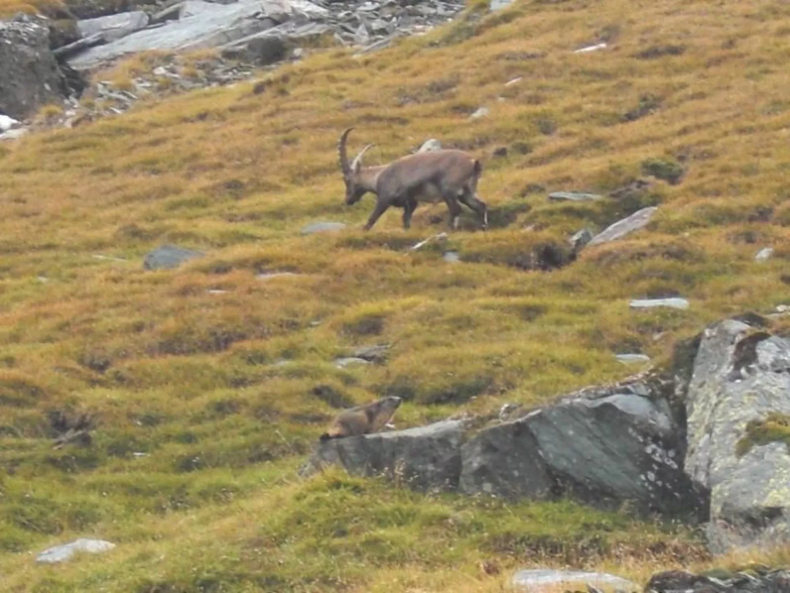 Studio barrierefrei - Buiten