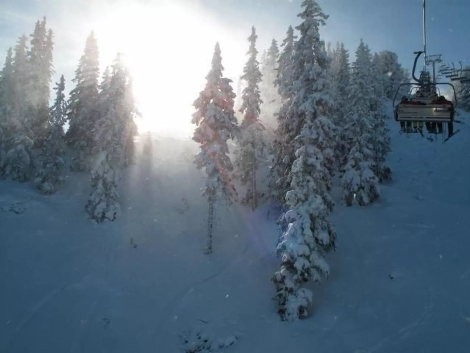Almhaus am Hohenwart-Binnen