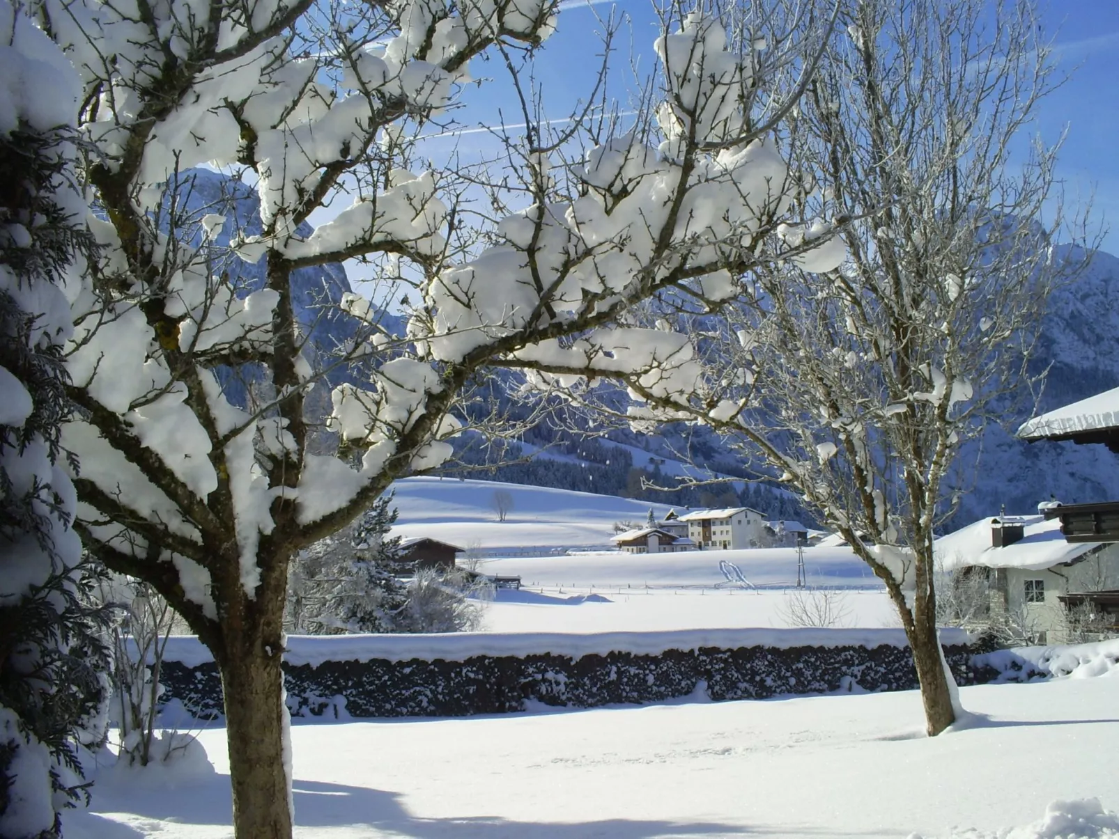 Gsenger in Abtenau-Image-tags.info