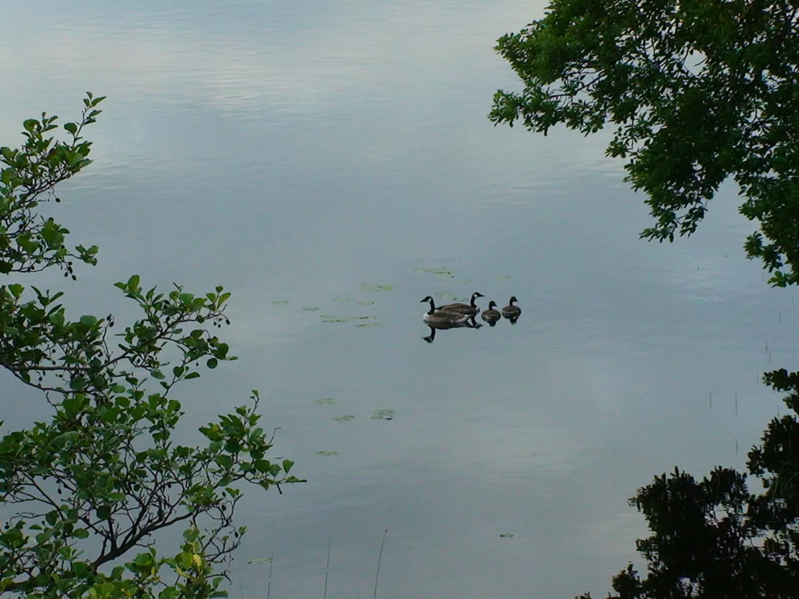 "Évika 1" mit Sauna-Buiten