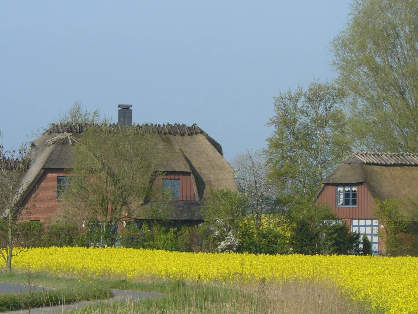 Buhr-Image-tags.info