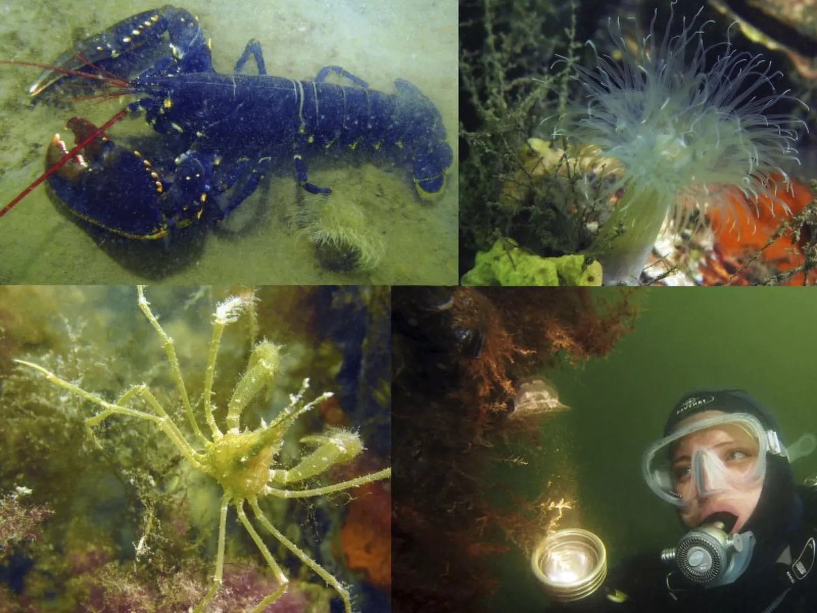 "Buurtweg213" mit Schwimmbad-Image-tags.info