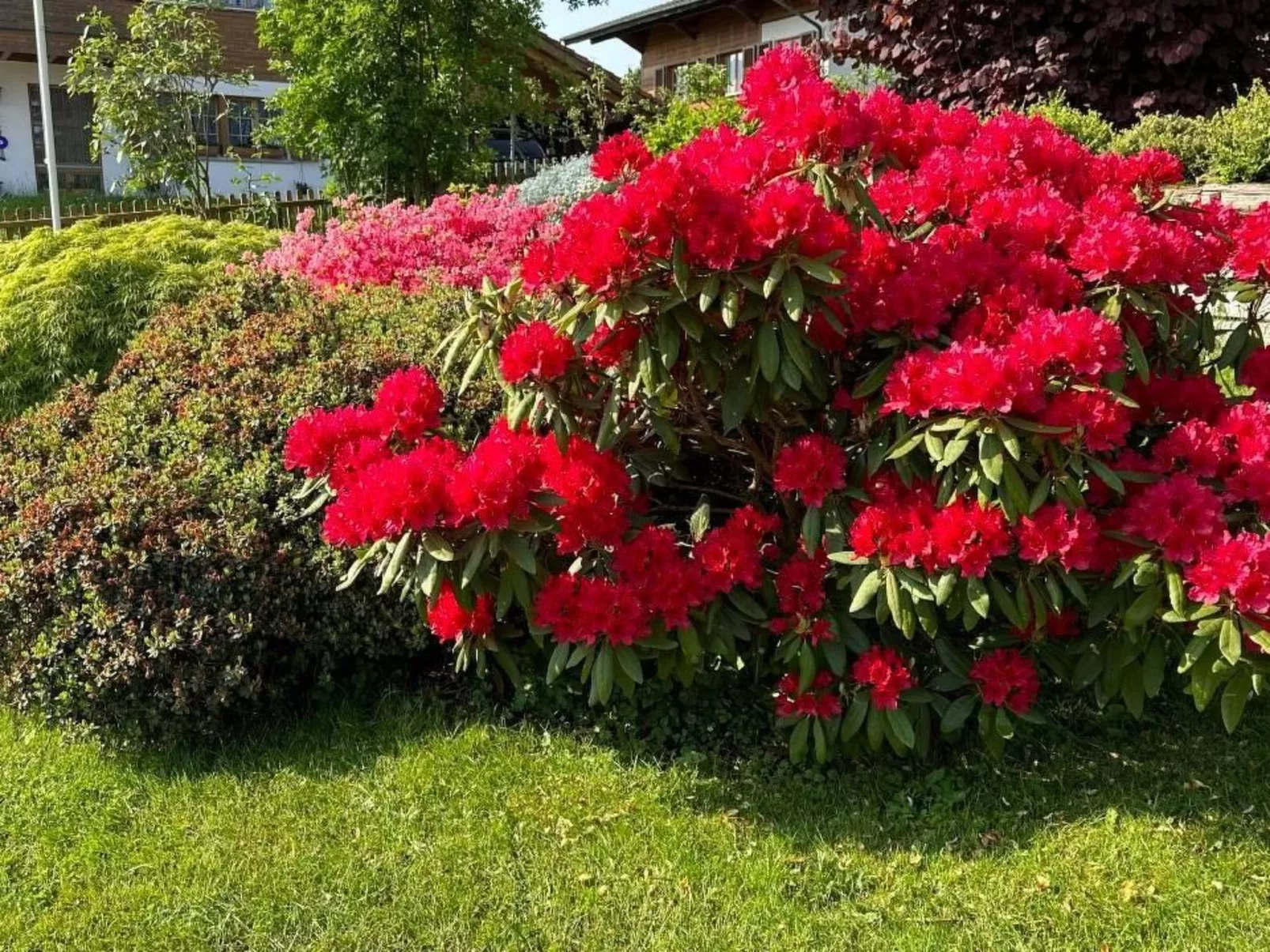 Sunneggli ****-Binnen