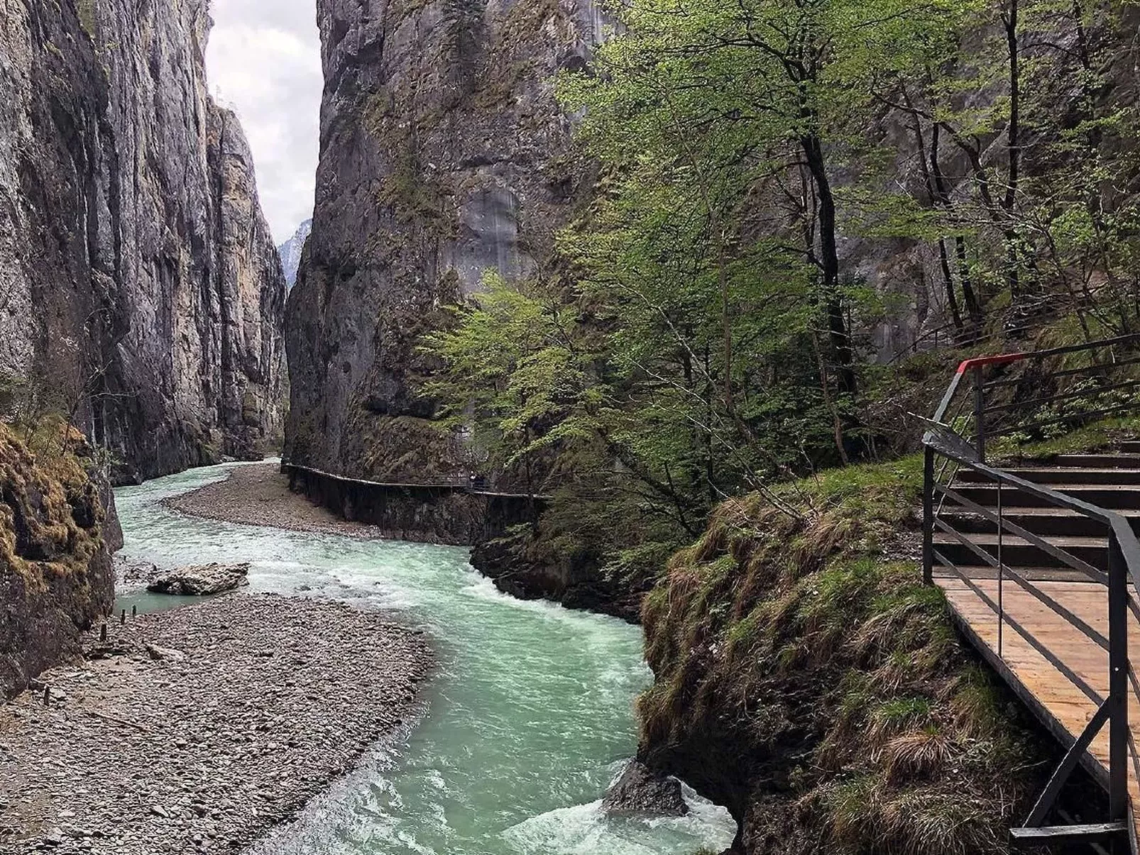 Darioli-Image-tags.info