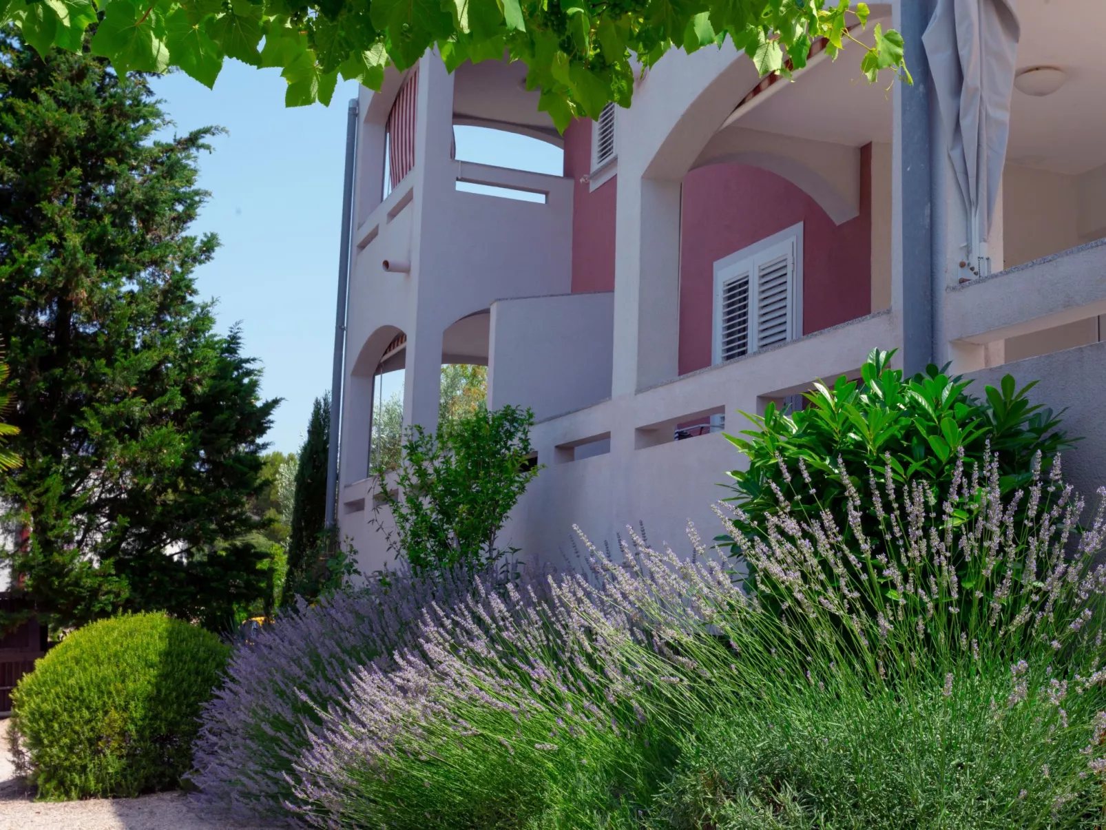 "Buka Calm II"-Binnen