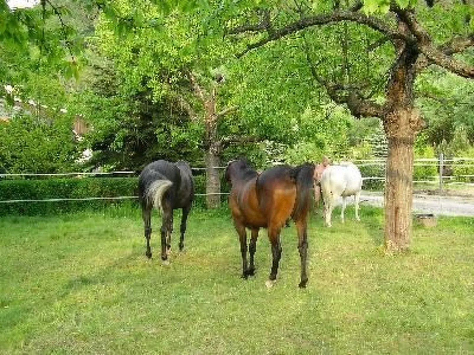 Silberbach II-Buiten