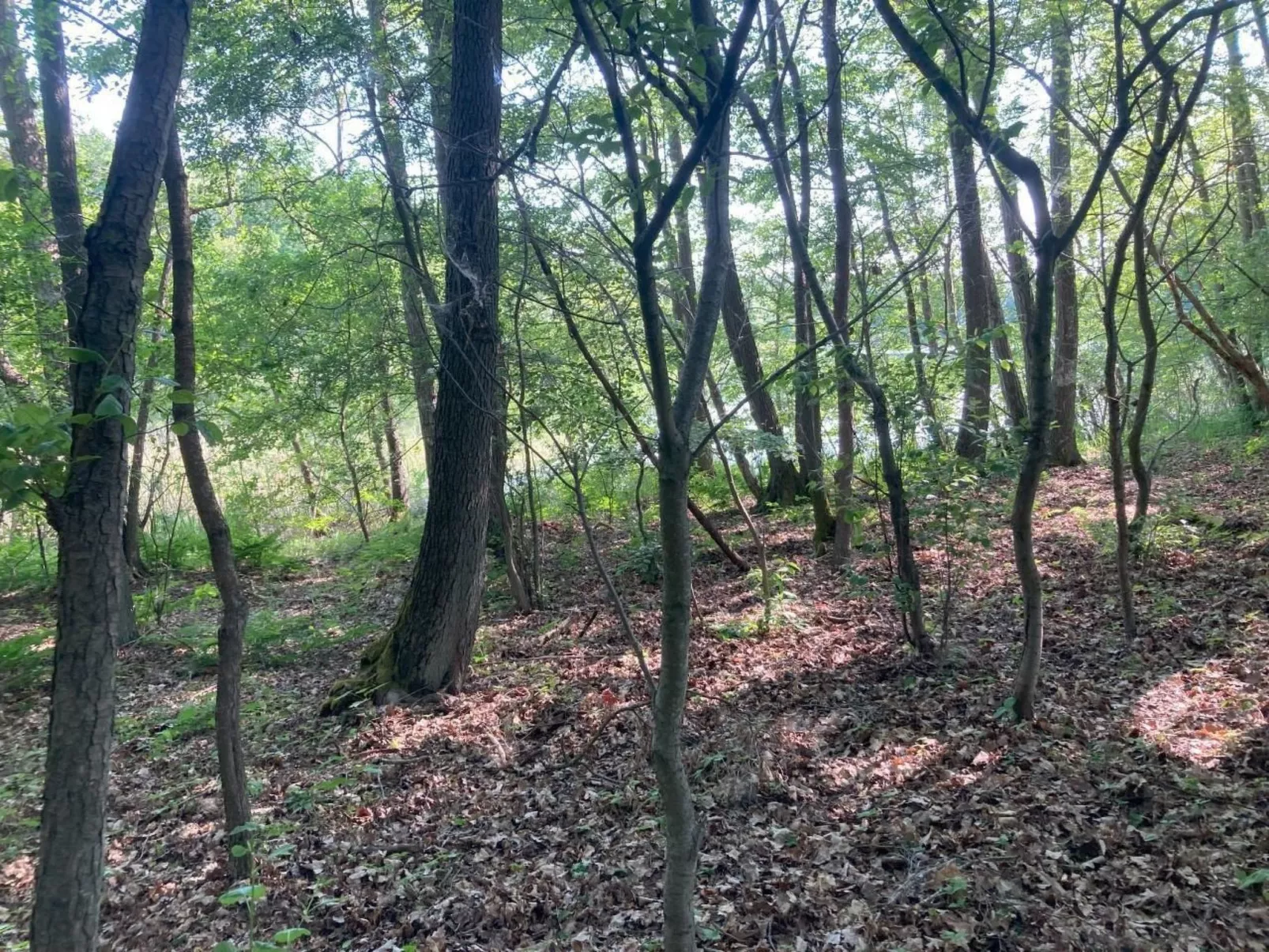Bungalow Mecklenburgische Seenplatte-Buiten