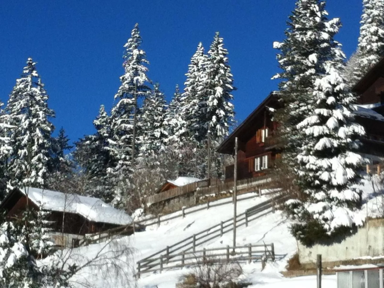 Chalet Silberdistel B11-Binnen