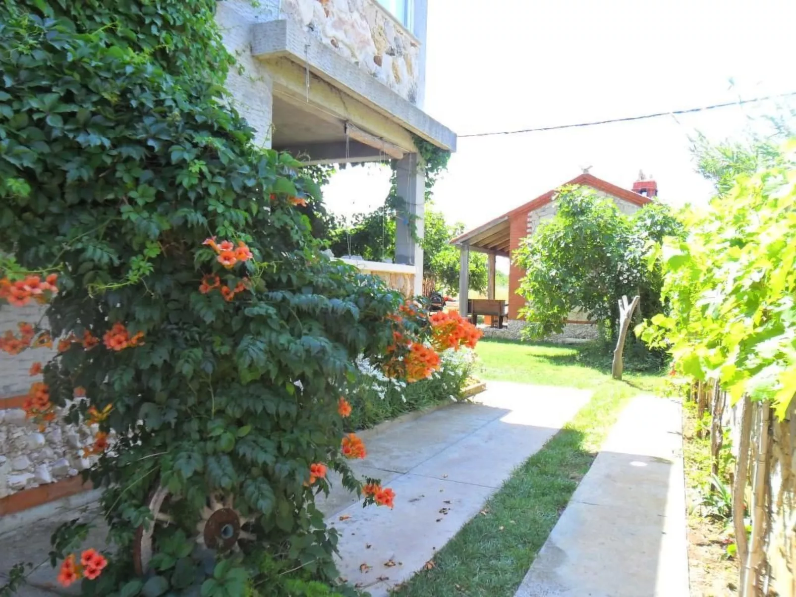 Apartment Delfin - TA Leut Agency - Buiten