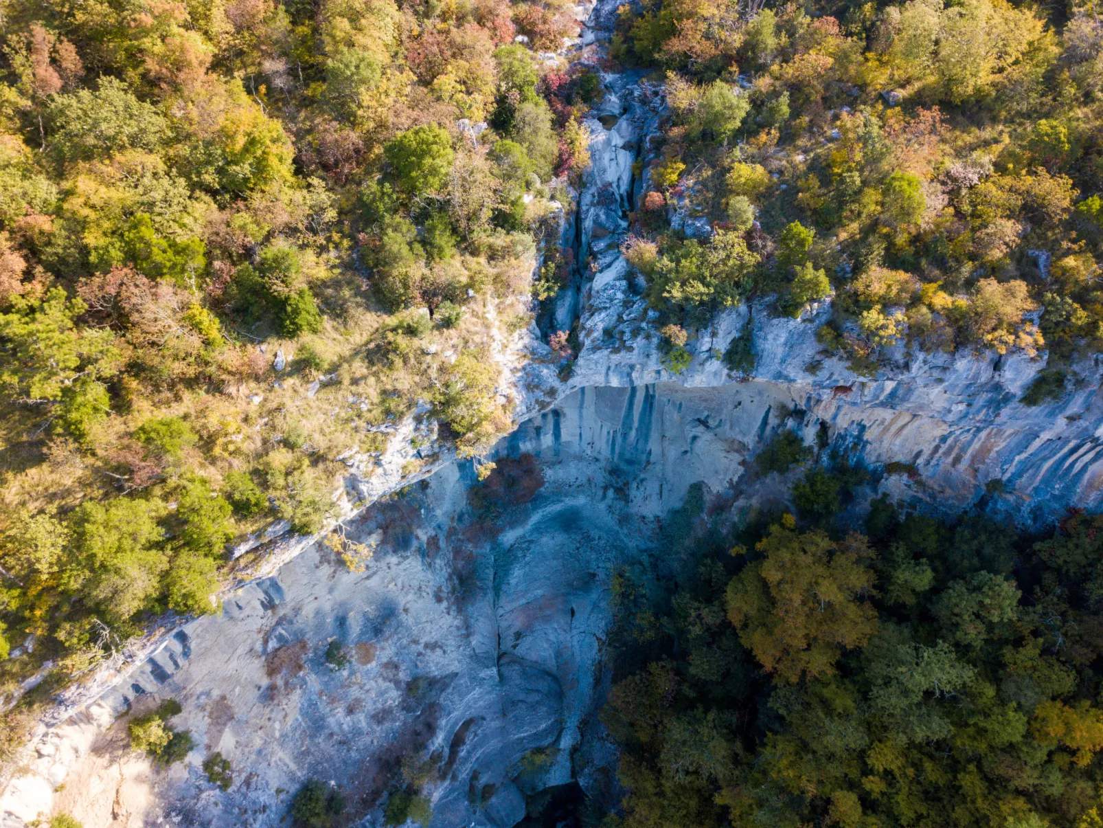 Ferienvilla Villa L Istra mit privatem Pool-Omgeving