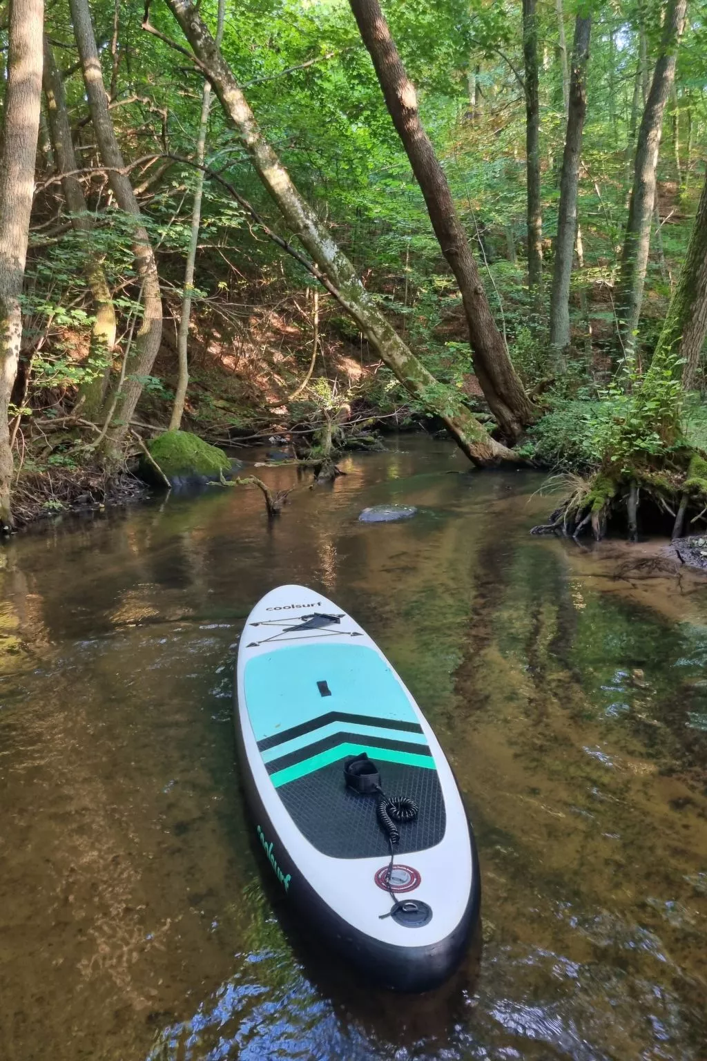 Lublewo21 Ferienhäuser - Buiten